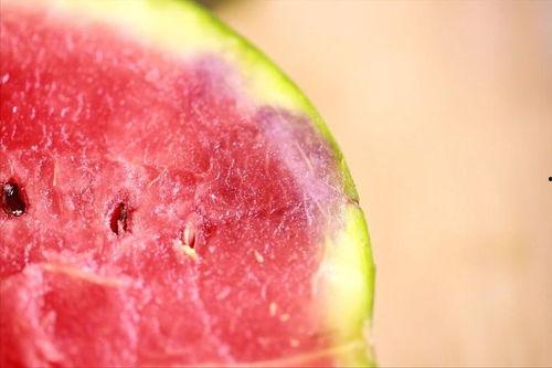 坏瓜怎么吃,创意料理中的美味逆袭