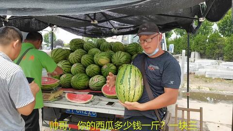 挑瓜买瓜又吃瓜,一场味蕾与智慧的较量