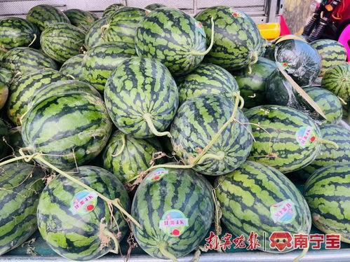 广西最近有什么瓜吃,揭秘那些引人关注的“瓜”