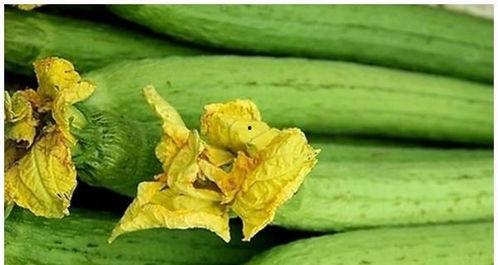 吃瓜会加重炎症吗,揭秘日常饮食对炎症反应的影响