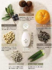 防晒霜吃瓜,揭秘防晒成分的神奇功效