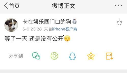 吃瓜爆料有钱吗,有钱背后的秘密与真相