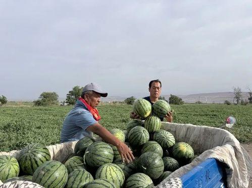 国岳吃瓜,揭秘娱乐圈那些不为人知的幕后故事