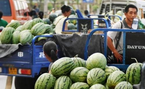 黑交院吃瓜,揭秘校园热点背后的真相