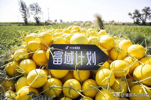 抖音吃瓜栗,揭秘网红美食背后的故事