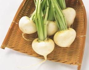 罗罗吃瓜深圳,揭秘深圳美食江湖