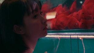 后排吃瓜少女是谁,后排吃瓜少女，网络热议背后的故事