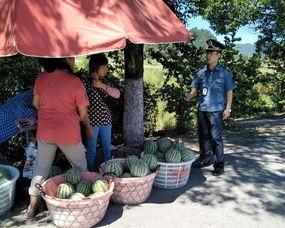 镇平吃瓜群众,揭秘当地生活百态