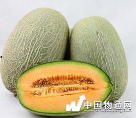 吃哈密瓜可以吃牛肉么,美味搭配的饮食探索