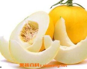 伊丽莎白瓜怎么切直接吃,轻松享受夏日清新美味