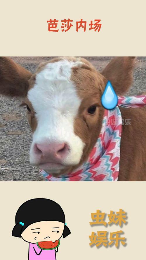 国际抖音吃瓜,揭秘热门事件背后的真相与争议”