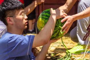 最近大学吃瓜视频,揭秘大学吃瓜视频背后的热点事件