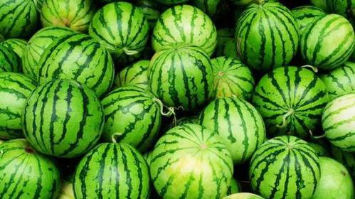 秦职吃瓜,揭秘校园吃瓜背后的故事