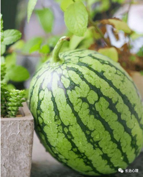 吃瓜心态的表现,围观中的社会观察与反思