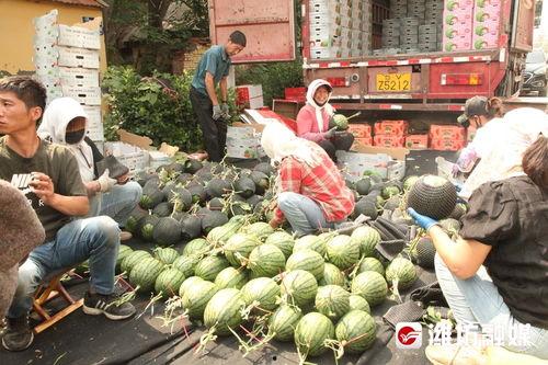 在吃瓜前线奔跑,奔跑在瓜田里的娱乐观察者