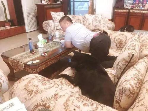 撅着腚吃瓜,揭秘撅腚吃瓜的独特魅力