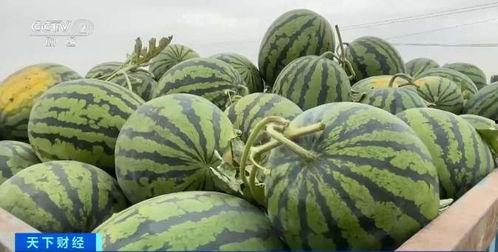 卡圈吃瓜打包,吃瓜群众如何打包围观精彩瞬间