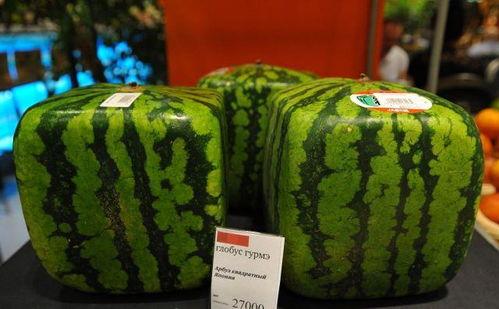 地雷瓜咋吃,解锁美味食用指南