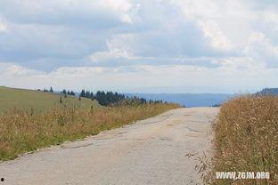 梦见摘树上瓜吃,揭秘摘树上瓜吃的神秘寓意