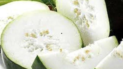 种花和吃瓜反思,生态种植与生活品味的双重反思