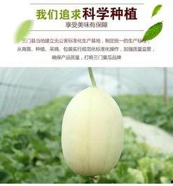 台州最新吃瓜事件,揭秘背后惊人真相