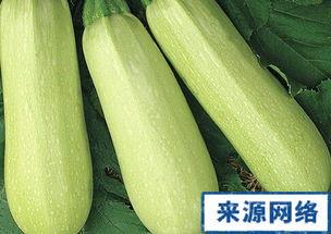 孕妇可吃白瓜吗,孕妇可食用白瓜的注意事项与好处