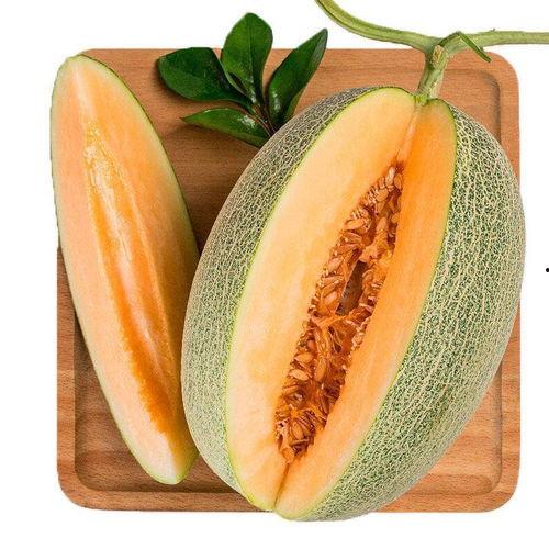 东方小蜜瓜经期可以吃,经期女性适宜食用的东方小蜜瓜养生指南