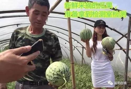 开州实验吃瓜事件,一场校园风波引发的思考