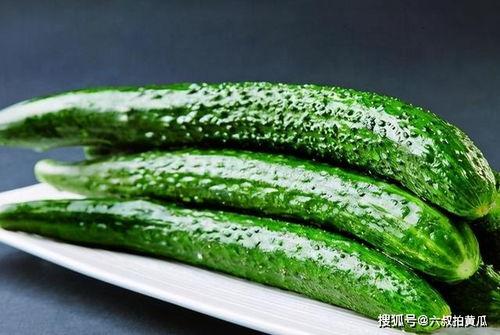 野外吃小圆瓜视频,小圆瓜的野味诱惑