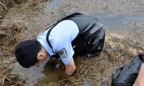 文安吃瓜杀人,真相背后的人性探讨