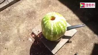 播放小朋友吃瓜,小朋友欢乐吃瓜瞬间