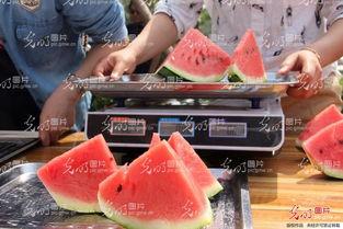 吃山东蓝翔最新的瓜,揭秘职业教育巨头背后的风云变幻